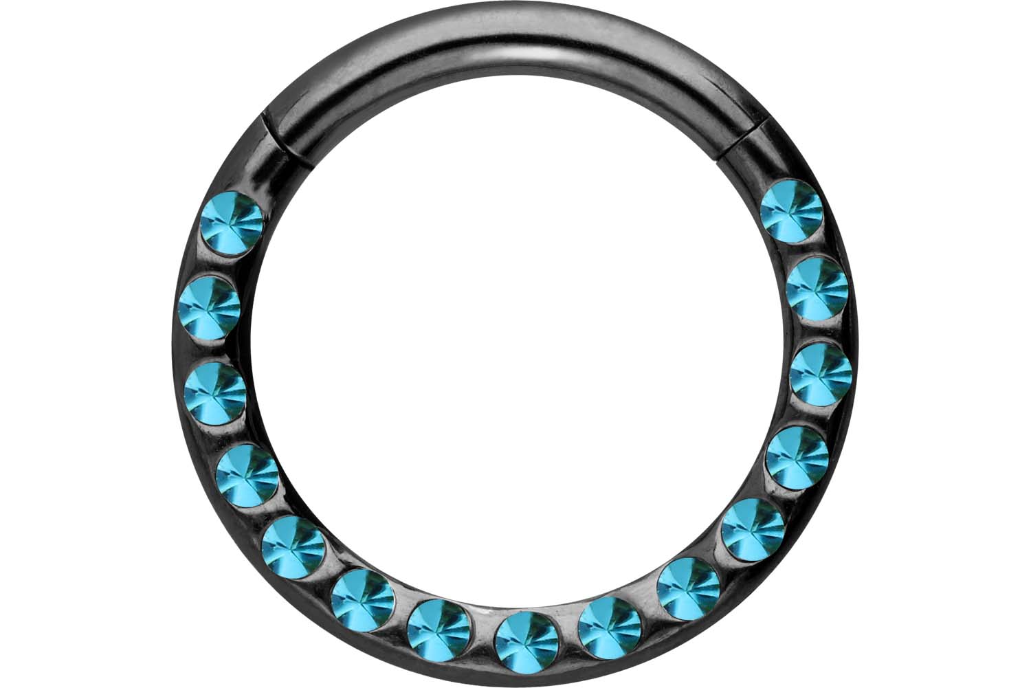 Chirurgenstahl Segmentring Clicker Piercing KRISTALLE + EPOXY ++SALE++